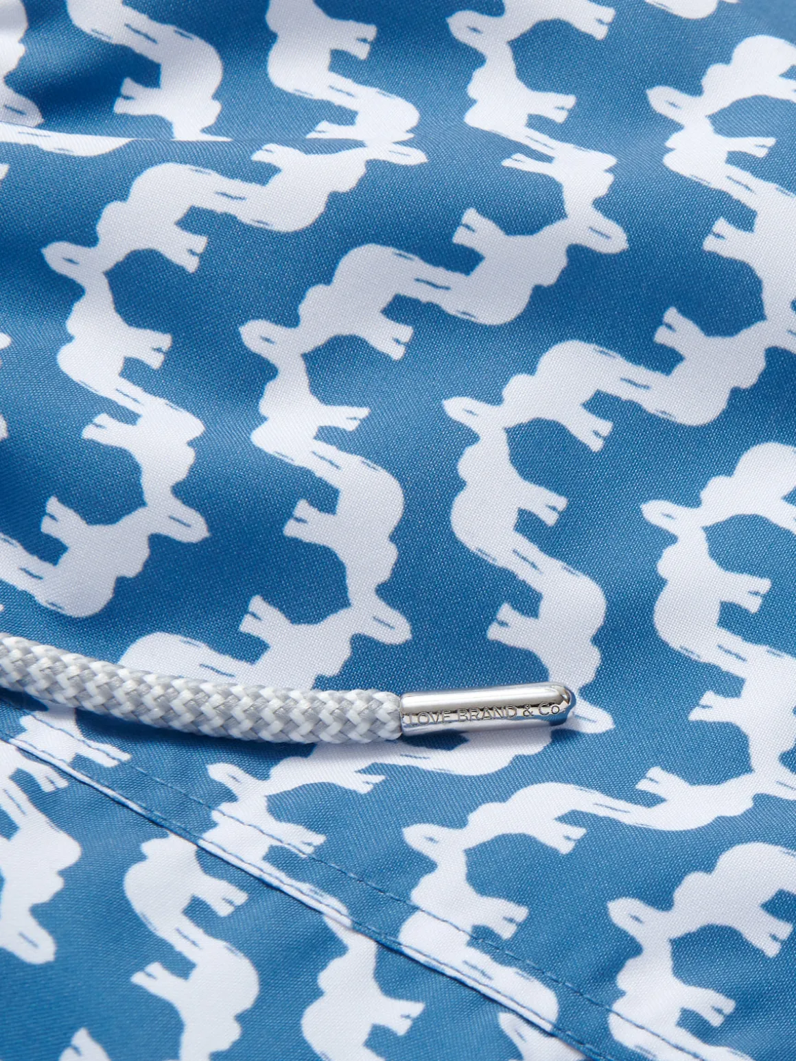 Boys Elephant Palace Blue Staniel Swim Trunks