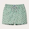 Boys Elephant Palace Green Staniel Swim Trunks