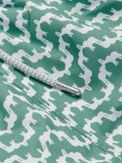 Boys Elephant Palace Green Staniel Swim Trunks
