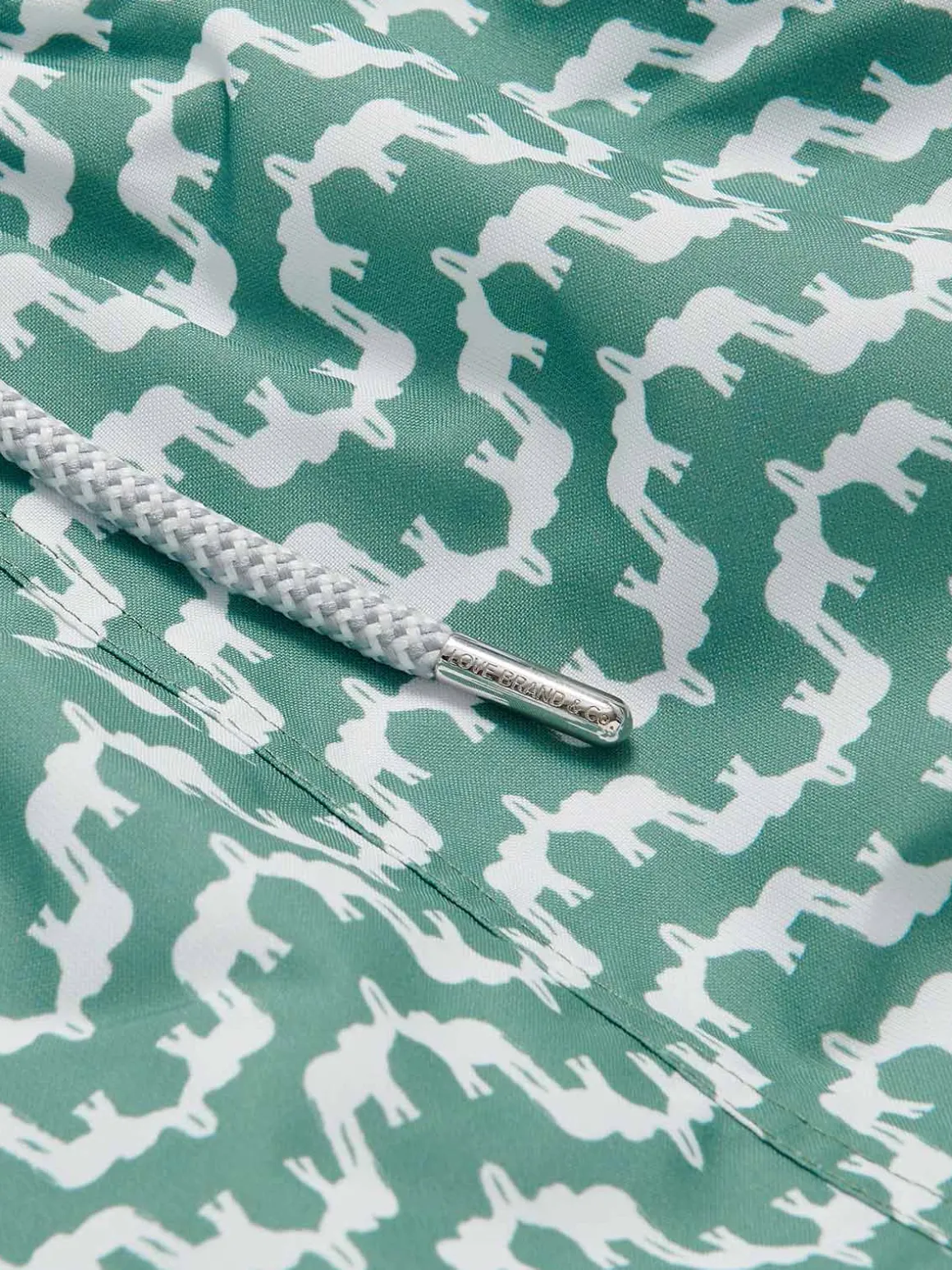 Boys Elephant Palace Green Staniel Swim Trunks