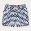 Boys Eye of the Tiger Staniel Swim Trunks