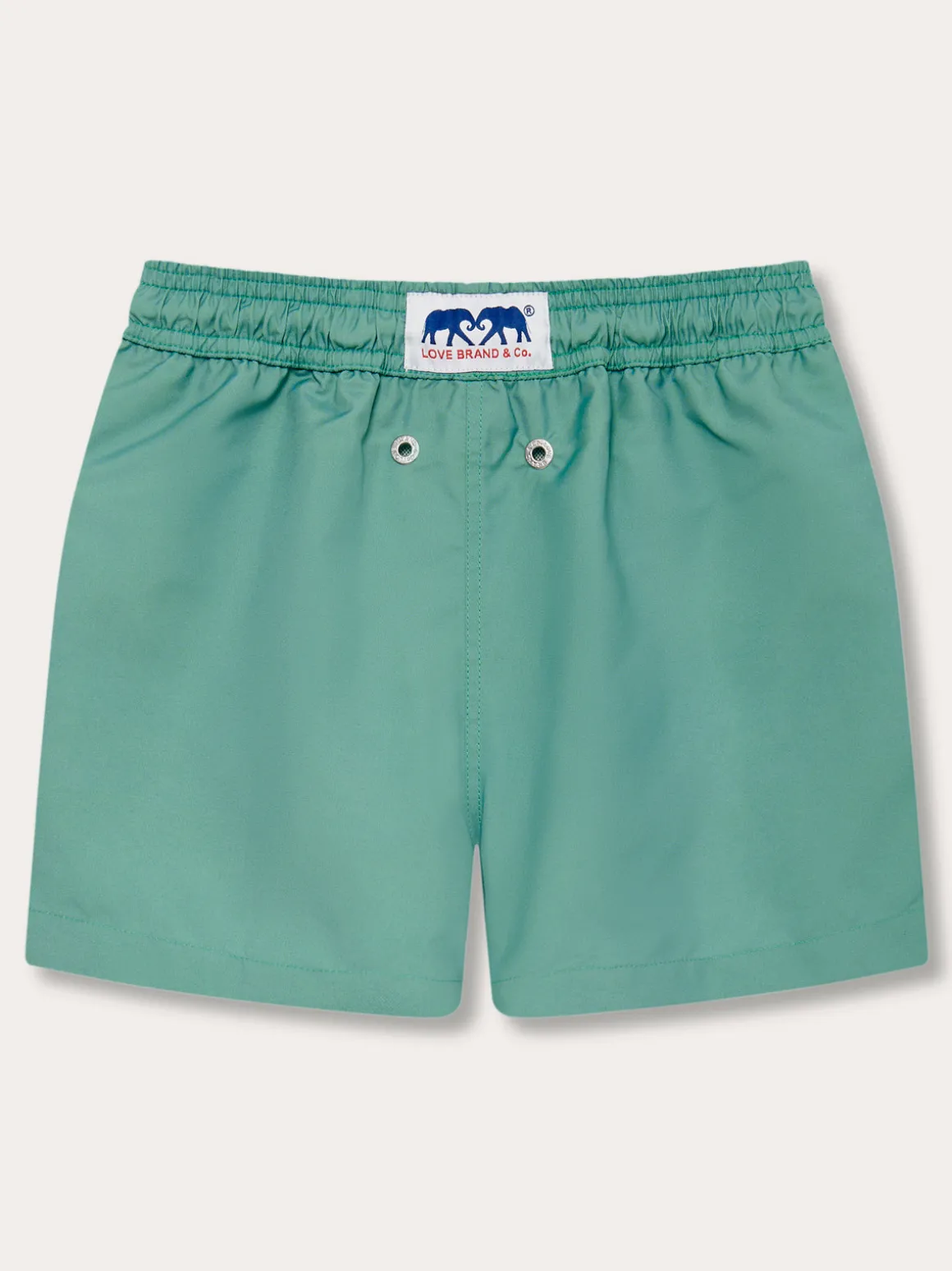 Boys Riviera Green Staniel Swim Trunks