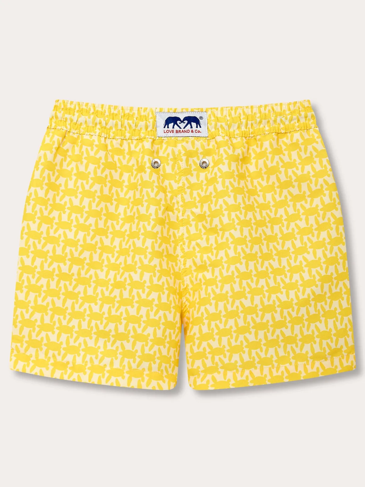 Boys Turtle Light Staniel Swim Trunks
