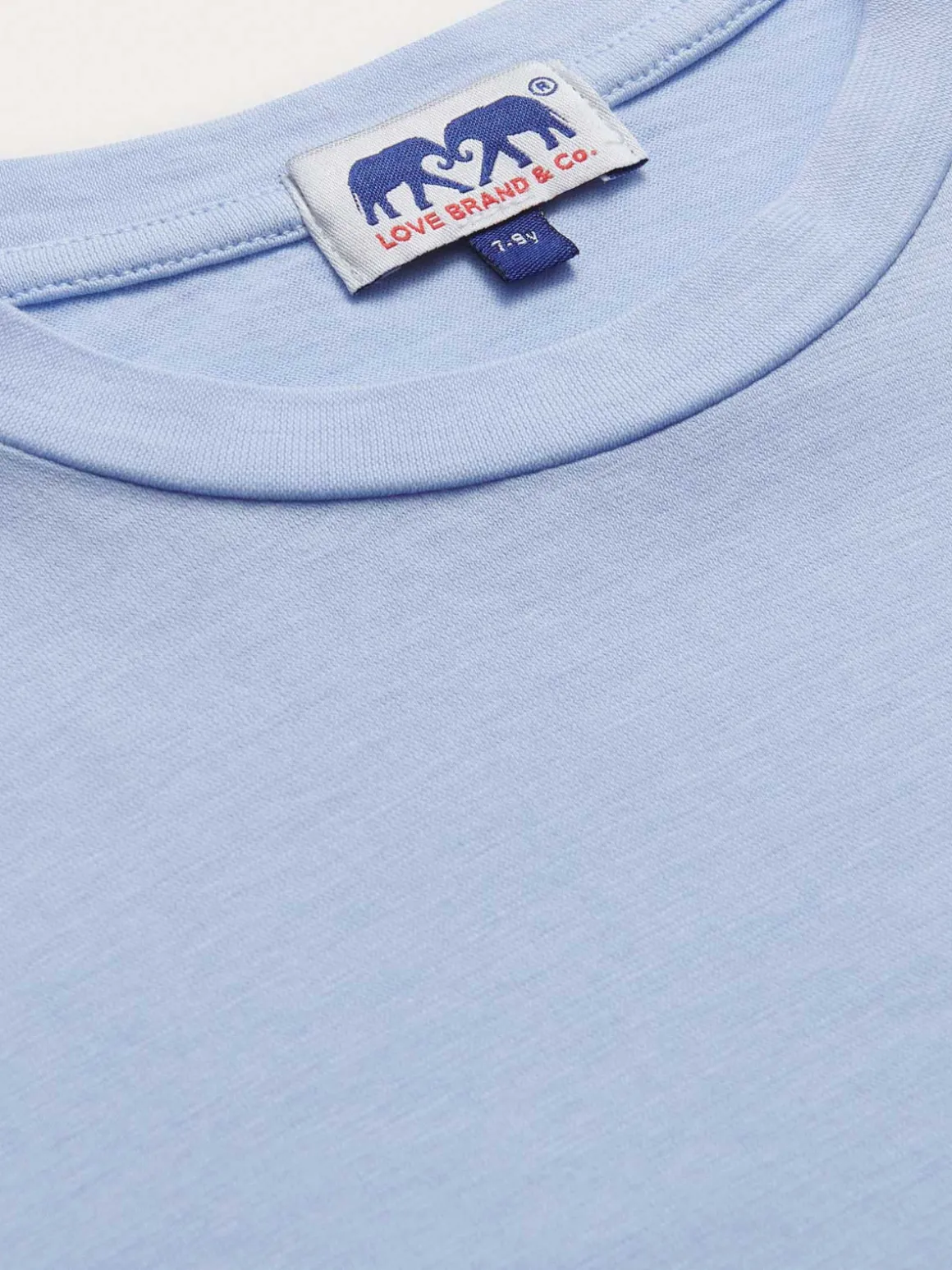 Kids Sky Blue Lockhart Cotton T-Shirt