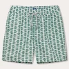 Men's Dolphins of Greece Staniel Swim Trunks