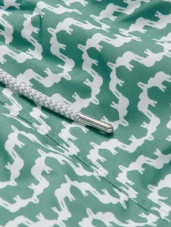 Men's Elephant Palace Green Staniel Swim Trunks