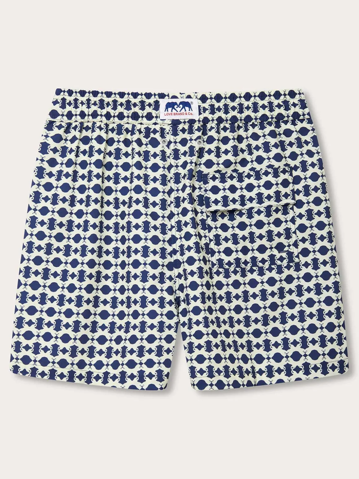 Men's Eye of the Tiger Staniel Swim Trunks