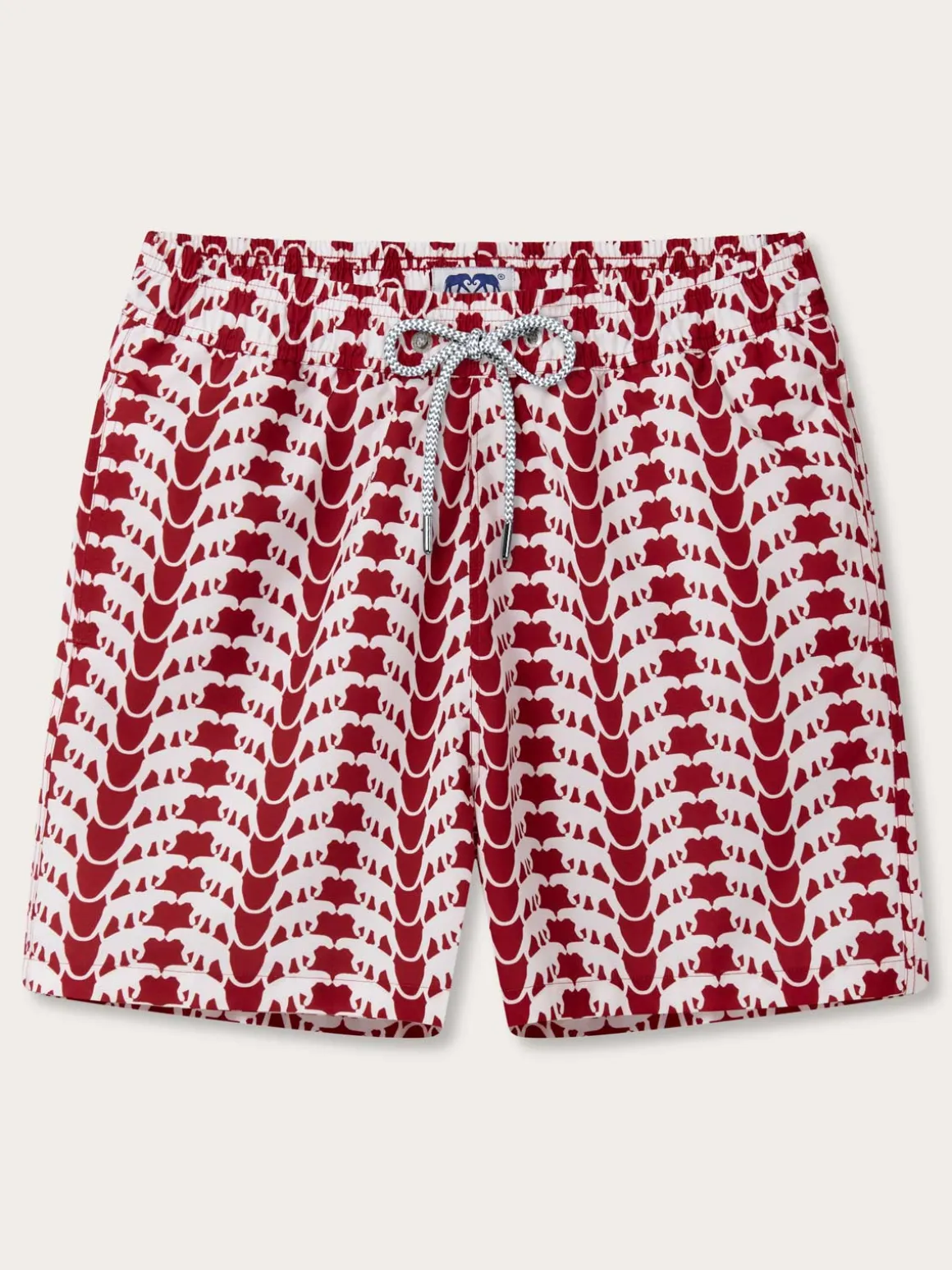 Men's Lurking Leopards Staniel Swim Trunks