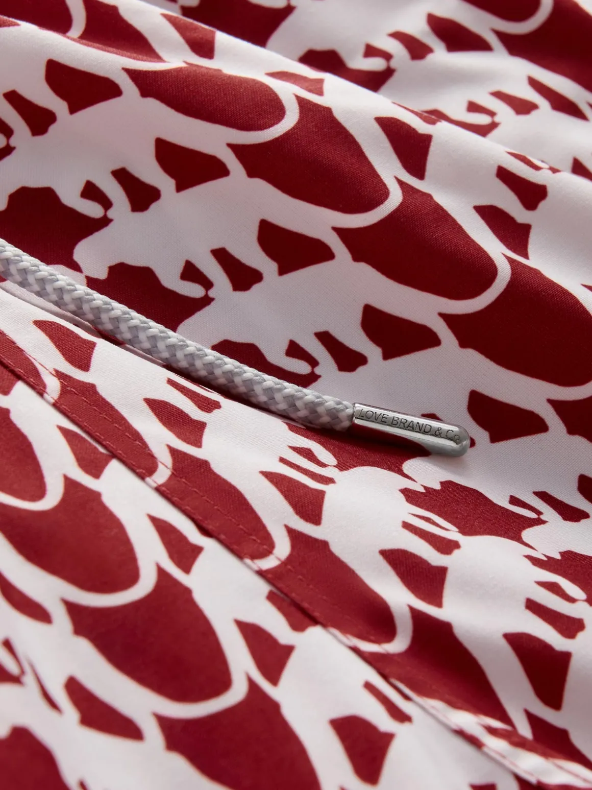 Men's Lurking Leopards Staniel Swim Trunks