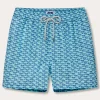 Men's Seahorses and Orcas Staniel Swim Trunks